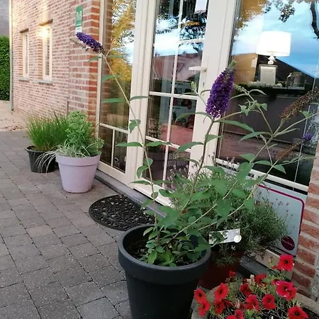 Luxe Wellness Tim Torfs ***** Beringen
